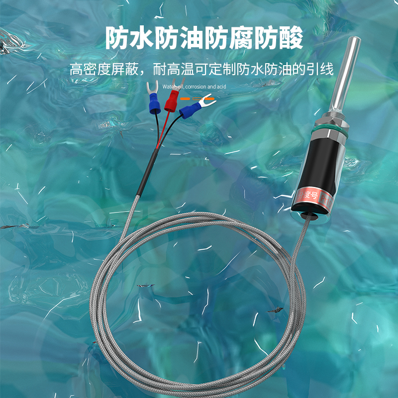 PT100溫度傳感器13_http://m.qddyyy.cn_溫度儀表_第4張