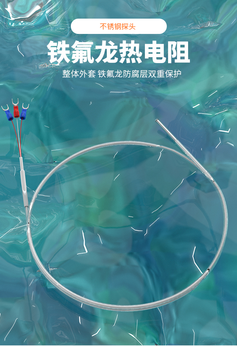 鐵氟龍熱電阻12_http://m.qddyyy.cn_溫度儀表_第4張