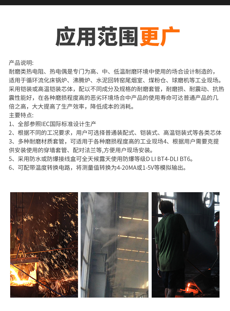 WRNM-131耐磨熱電偶15_http://m.qddyyy.cn_溫度儀表_第6張